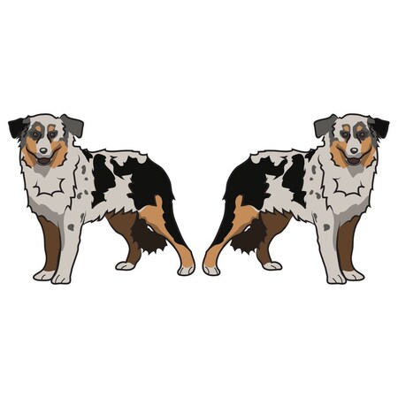 Signmission Miniature American Shepherd Dog Decal, Dog Lover Decor Vinyl Sticker D-18-Miniature American Shepherd